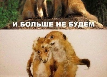 От одного раза ничего не будет, или как формируется наркотическая зависимость