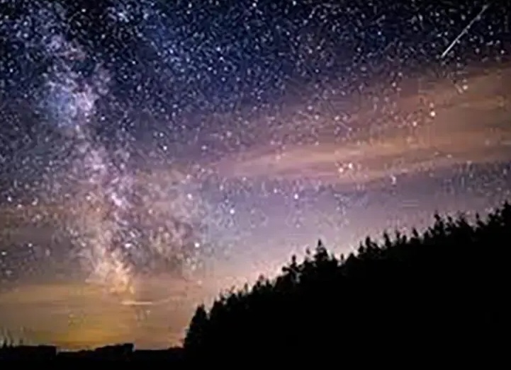 Самые стильные звездные бабушки: 7 обладательниц роскошной фигуры и эталонной молодости