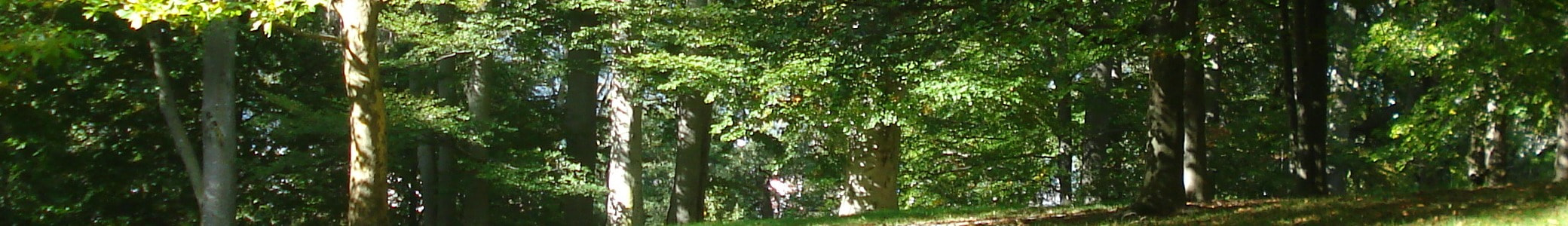 Пиксельная вселенная