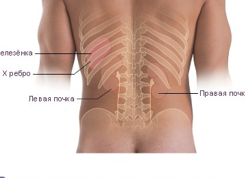 Почему болит поясница?